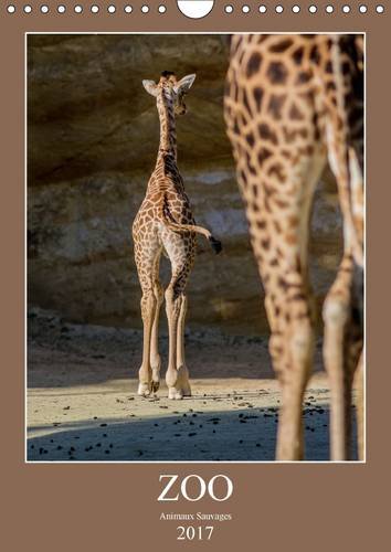 Zoo Animaux Sauvages 2017 (Calvendo Animaux) (French Edition) by (Hardcover-spiral)