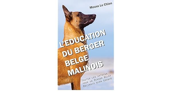 Leducation Du Berger Belge Malinois Toutes Les Astuces