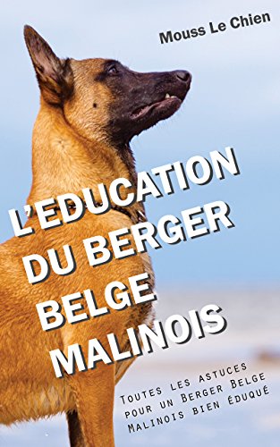 Leducation Du Berger Belge Malinois Toutes Les Astuces