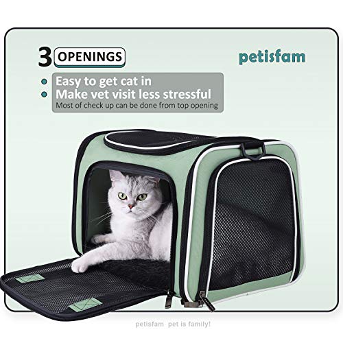 Soft Pet Carriers for Medium and Large Cats, 2 Kitties and Small Dogs w