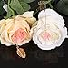 VK Accessories 3 Sets Multilayered Lace Chokers with Feather Rose Peadant Necklaces White Blue and Brown