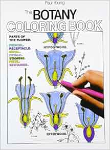 Download Amazon.com: The Botany Coloring Book (9780064603027): Paul Young, Jacquelyn Giuffre: Books