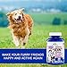Furrysmarties Glucosamine for Dogs with 800mg Glucosamine 400mg Chondroitin 400mg MSM and 100mg Vitamin C in Each Tablet - Hip and Joint Supplement - 120 Beef Flavour Chewable Tablets