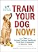 Train Your Dog Now!: Your Instant Training Handbook, from Basic Commands to Behavior Fixes by Jennifer L. Summerfield
