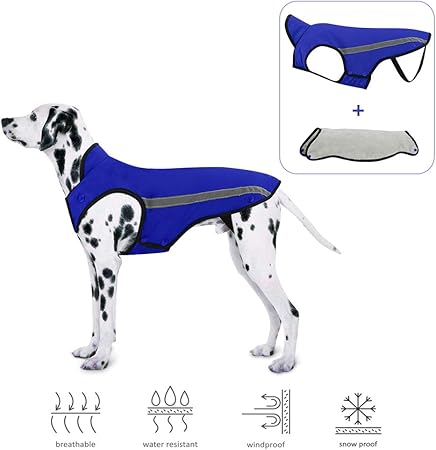 dog winter jacket amazon