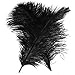 Bseash Natural Ostrich Feathers Bulk 12-14 inches (30-35cm) for Wedding Party Centerpieces, Flower Arrangement and Home Decoration (Black 50pcs)