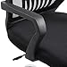 Poly and Bark Gerberding Office Chair, Black