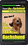Dachshund, Dachshund Training A: Think Like a Dachshund. but don't bite your dog! | Learn EXACTLY How to Train Your Dachshund: Dachschund