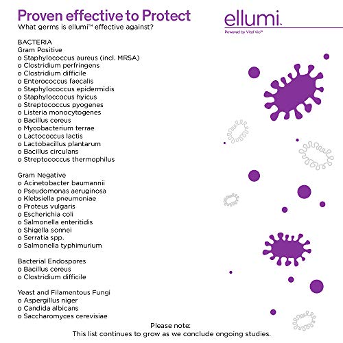 3 Catalina+Lighting+20231+000+Integrated+Disinfections