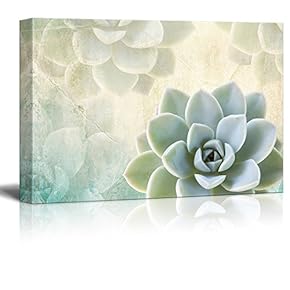 Succulent With Succulent Background - Canvas Art