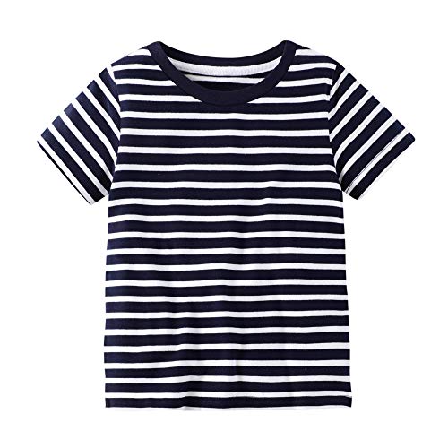 BIBNice Boys Clothes Sets Toddler Outfits Cotton Tee and Shorts Set Stripe 2t