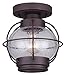 CANARM IFM636A08ORB Ltd Potter 1 Light Flush Mount Seeded Glass, Oil Rubbed Bronze