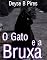 Livro O GATO E A BRUXA (Contos Rápidos Livro 3)