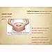 CASHIMRE Maternity Belly Band | Pregnancy Belt Blue