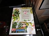 Image de Les 1000 Plus Belles Plantes D'interieur