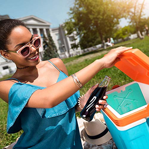 Large Ice Packs For Coolers and Ice Chest by Portion/Perfect 20