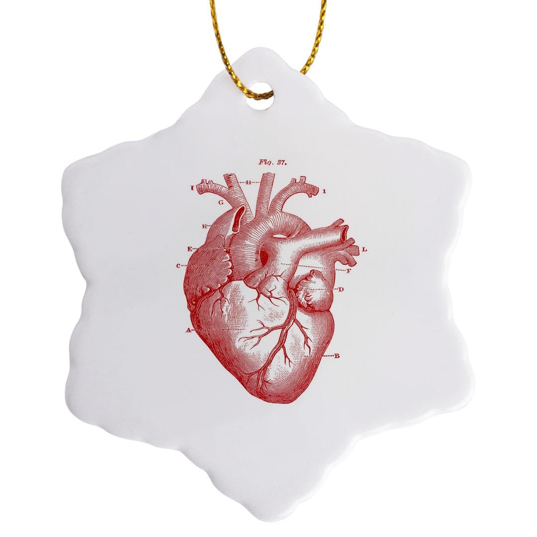 3dRose Print of Victorian Diagram of the Heart Snowflake Ornament, Multi-Colour, 3-Inch