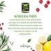 Natrogix 3-In-1 Post Workout 7G BCAA Powder with 3G Creatine and a 2:1:1 ratio of Branched Chain Aminos for Muscle Growth, Faster Recovery and Prevent Muscle Soreness. Great Taste and Low Carb