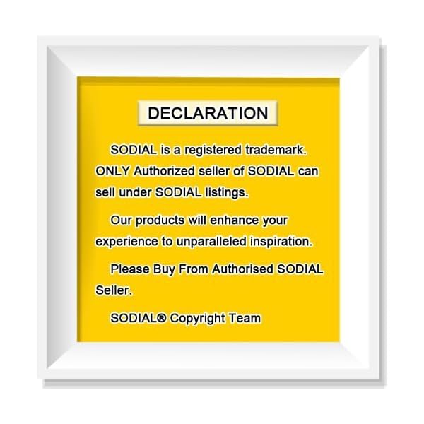 compass-SODIALRBig-K-LED-ball-compass-Boat-compass-Marine-Compass-Compass-Compass-Navigation-white