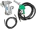 GPI 133265-04, M-3025CB-AD High Flow Cast Iron Fuel Transfer Pump, 12-VDC, 25 GPM, 1-Inch NPT X 18-Foot Fuel Hose, Automatic Diesel Nozzle, 18-Foot Power Cord, Weight Centering Base