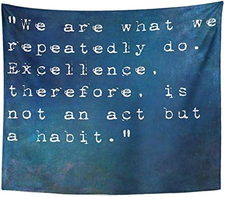 SSKBJTBDW Blue Motivation Inspirational Saying by on Earthy Colorful Aristotle Tapestry Soft Polyester Cotton Appropriate Size Nice Wall Hanging Decoration