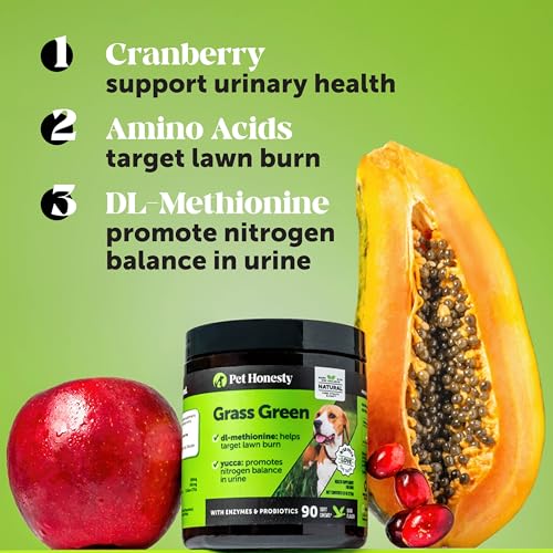 GRASS GREEN DOG CHEWS – URINE NEUTRALIZER FOR LAWN, DOG PEE GRASS HELPS YARD STAY GREEN ADDRESSING BURN SPOTS WITH PROBIOTICS & ENZYMES (TURKEY)