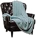 Chanasya Super Soft Warm Elegant Cozy and Decorative Velvet Fleece Aqua Blue Microfiber Throw Blanket (50