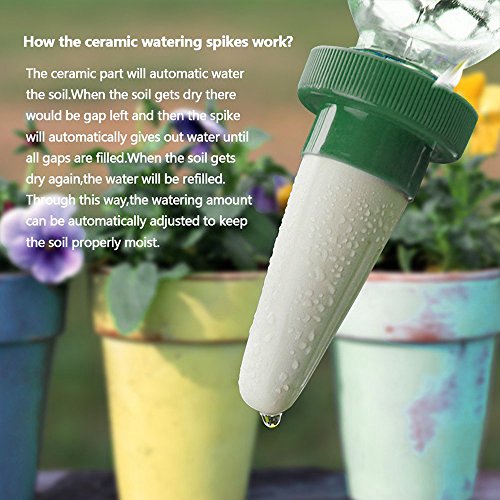 RIOGOO Vacation Plant Waterer, 8 Pack Ceramic Plant Automatic Water Infiltration Device Self Watering Spikes for Indoor&Outdoor - Thumbnail 3