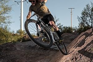 state bicycle pulsar