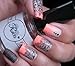 PUEEN Nail Art Water Tattoo Sticker Collection WF2 - 28 Packs Different Stickers (All Full Nail Designs) Classic Black Patterns Lace Feather Animal Print Nail Wrap Stripes Nails Foils Decal Decorations-BH000351