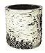 SURREAL Planters VB-8 Vertical Planter, 9-Inch, Birch
