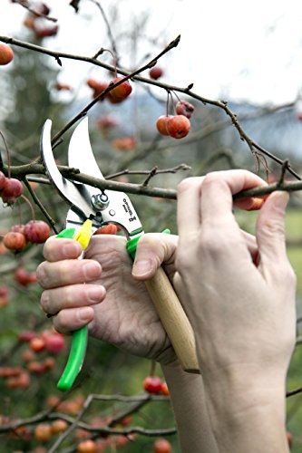 Opinel 1628 Gartenschere Messer, Mehrfarbig, One Size – Bild 5