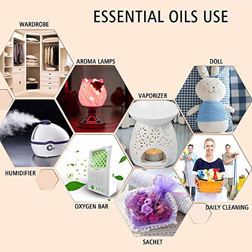Water Soluble Essential Oil Sets Relax Kit, 12 Pack Difussers Essential