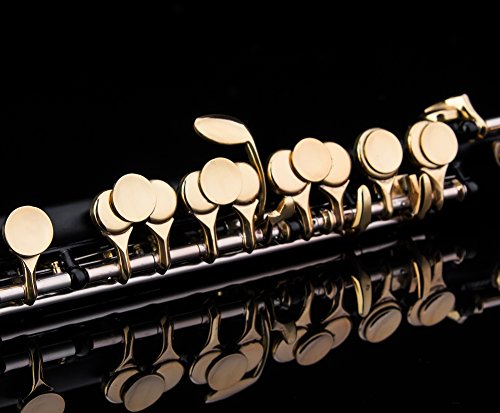 Glory Key of C Piccolo with Pro Case, Joint Grease, Cleaning Cloth and Rod, and Gloves, Black/Gold keys ~ More COLORS Available ! CLICK on LISTING to SEE All Colors - Thumbnail 3