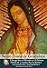 Notre-Dame de Guadalupe : L'image face à l'histoire et à la science by 