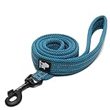 Pettom Dog Leash Pet Durable Padded Leash Strap for Puppy Pet Leash Rope(Large 6.5Ft, Blue)