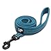 Pettom Dog Leash Pet Durable Padded Leash Strap for Puppy Pet Leash Rope(Large 6.5Ft, Blue)