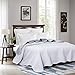 AYASW Bedspread Only Queen Size Lightweight Pinsonic White Bedspread All-Season 1 Piece The Copper Pattern for Queen Bed Reversible White and Light Grey Easy Care Summer Decor