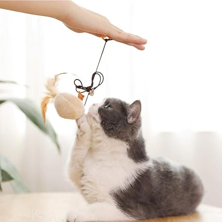 Slcco Divertente Gatto Gatto Campana Piuma Asta Lunga Pelo Di Tacchino Piccolo Topo Gatto Divertente Palo British Breve Blu Gatto Gattino Combattimento Gatto Gioco Amazon It Casa E Cucina