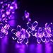 Qedertek Solar String Lights, Cherry Blossom 22ft 50 LED Waterproof Flower Outdoor String Lights for Patio,Lawn,Garden,Holiday,Halloween Solar Lights,and Festivals Decorations (Purple)