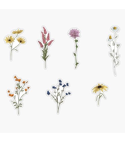 Amazon.com - EB Store White Daisy Branch Watercolor Horizontal