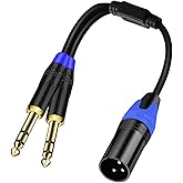 Seefeful (1PACK-11.8inch) Dual 6.35mm 1/4 Inch to XLR Microphone Cable, 6.35mm Male to XLR Audio Y Splitter Patch Cord, 3-Pin to Dual 1/4'' TRS Male Converter Adapter Cable