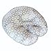 Boppy Original Newborn Lounger, Gray/Taupe Propeller