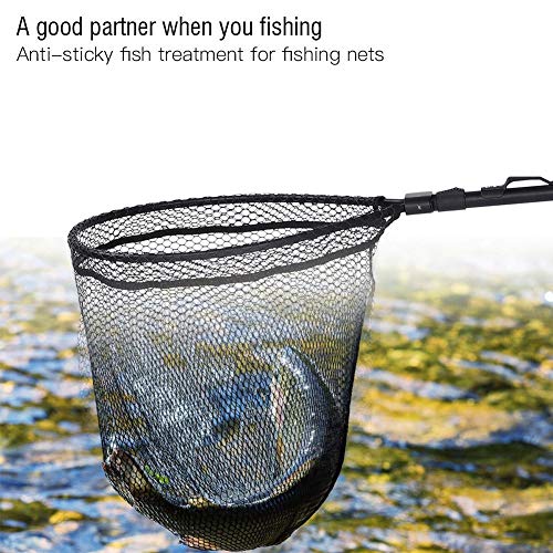 Kescheln Fliegenfischen Netz, Fischernetz Tragbare Aluminiumlegierung Schnellklapp Fliegenfischen Hand Dip Net Fanggeräte zum Fangen von Bass Carp Catfish – Bild 5