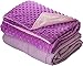 Weighted Blanket for Kids 5 lbs - Child Weighted Blanket 5 lb with Removable Minky Cover - Cotton 5 Pounds Heavy Blankets for Toddler Girls (Inner Light Violet/Cover Violet & Pink, 36