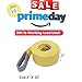 Big Ant TOW03 Nylon Recovery Heavy Duty Tow Strap, 3-Inch x 20-Feet