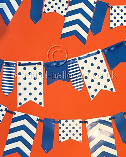 Beautiful Balloons 3 x 10ft Blue and White Spot and Stripe Reversible Flag Bunting - Perfect for Burns Night