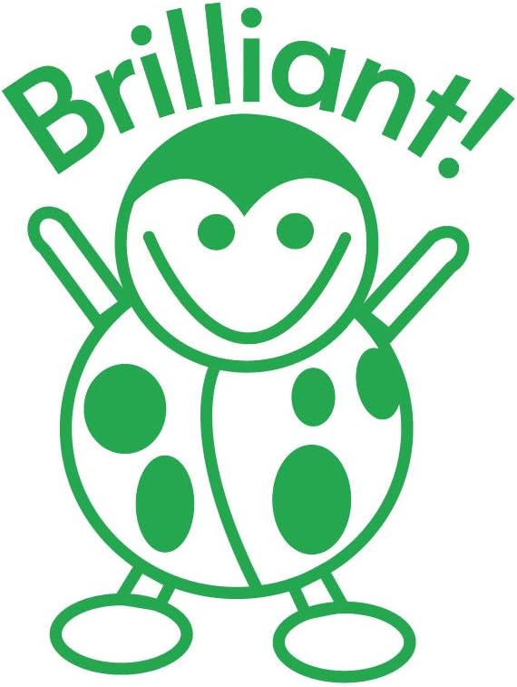 SuperStickers - Ladybird Pre Inked Teacher Stamper for Marking - Green with Message 'Brilliant'