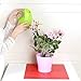 MyLifeUNIT Watering Can, Small Water Can for Indoor Plants, 1 Quart (Green)