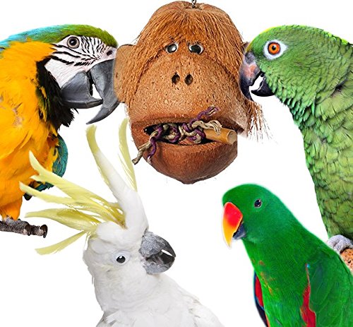 Coco Head Bird Foraging Toys (Monkey Coco Head)